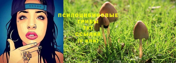 твердый Балабаново